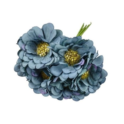 GERBERA SFUMATA BLU D5